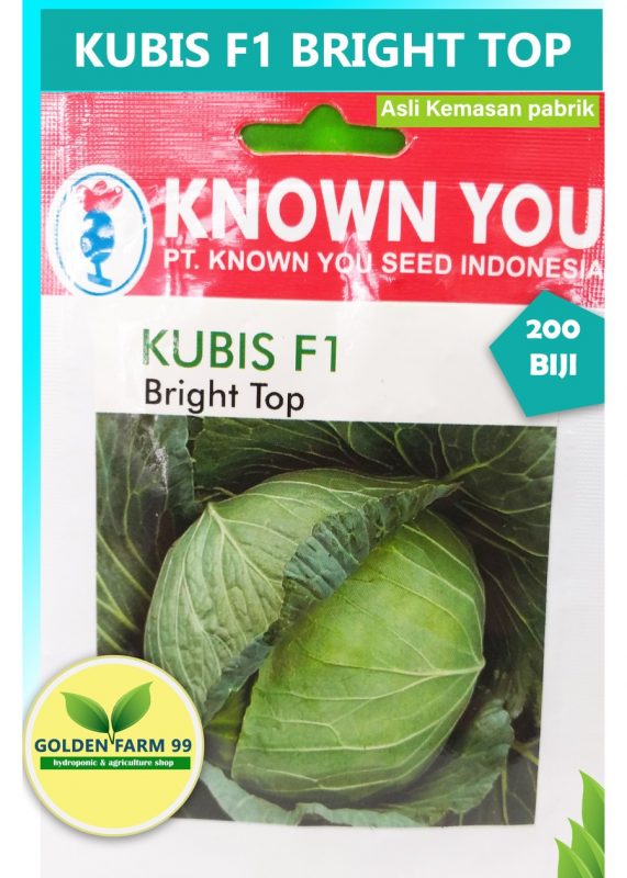 Benih Kubis F Bright Top Known You Seed Original Pack Store Golden