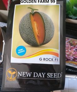 MELON G ROCK F1