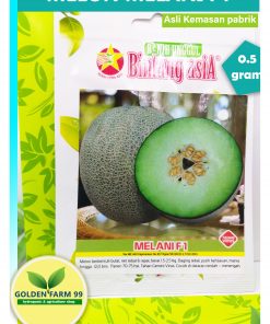 melon melani f1