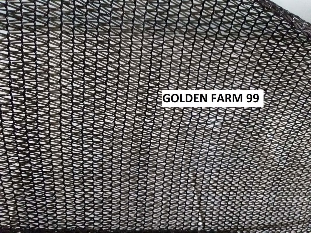 Belanja Kebutuhan Tanam Lebih Mudah di Golden Farm 99