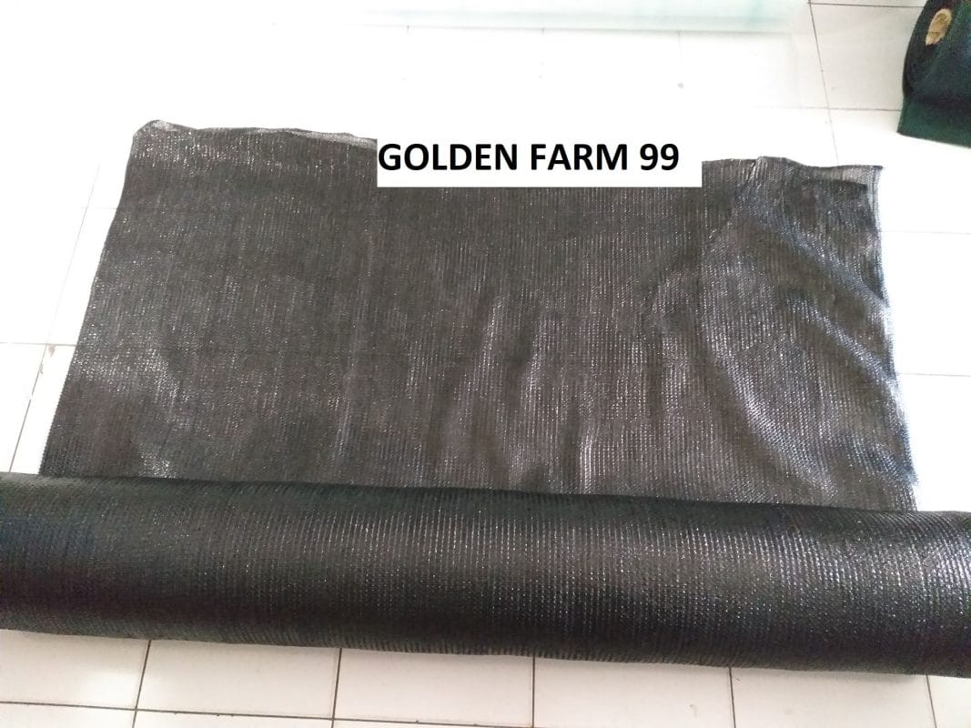 Belanja Kebutuhan Tanam Lebih Mudah di Golden Farm 99