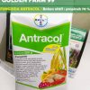 antracol 70 wp