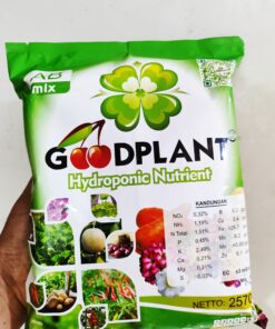 nutrisi hidroponik sayur