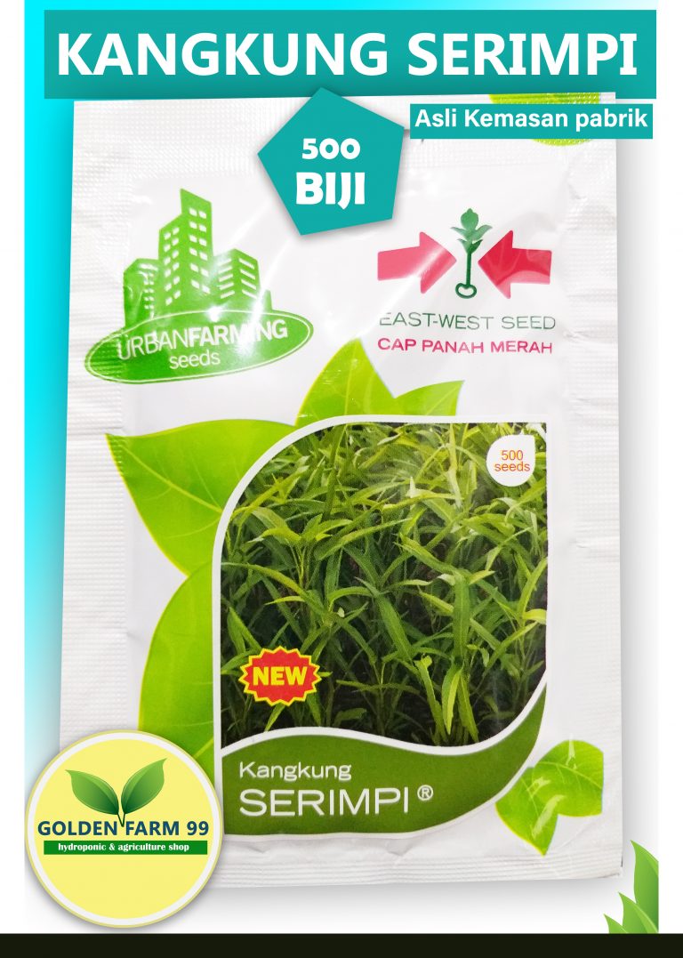 Benih Kangkung Serimpi Cap Panah Merah Original Pack Store Golden