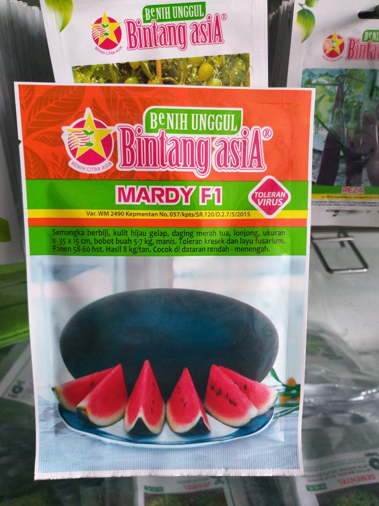 Jual Benih Semangka Mardy F Bintang Citra Asia Origanal Pack Store