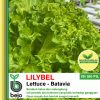 lilybel lettuce