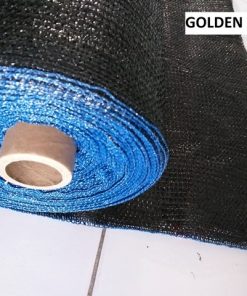 paranet swallow