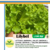 lilybel lettuce