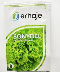 sonybel