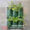 wall planter bags 6 kantong