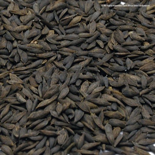 Selada seeds 600x600 1