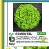 sementel lettuce