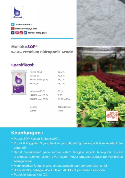 merokeSOP