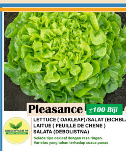 oakleaf lettuce