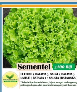 selada sementel 100 pills