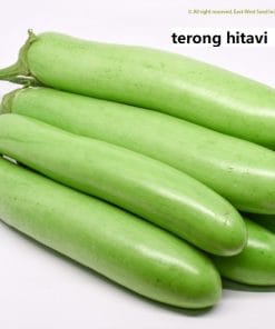 Benih terong Hitavi F1 Panah merah 7 terong Hitavi F1 Copy