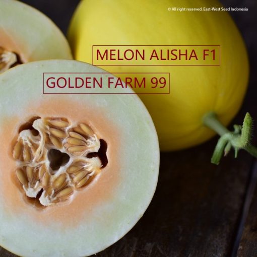 Alisha fruit 600x600 1