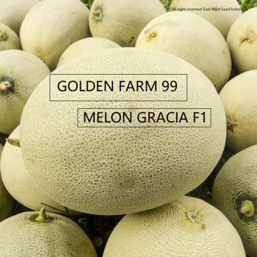 Gracia Fruit 600x600 1