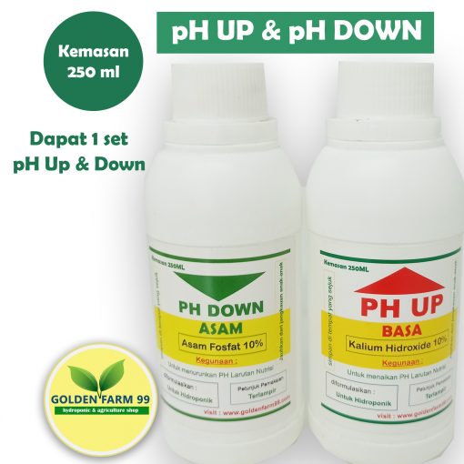 ph up dan ph down