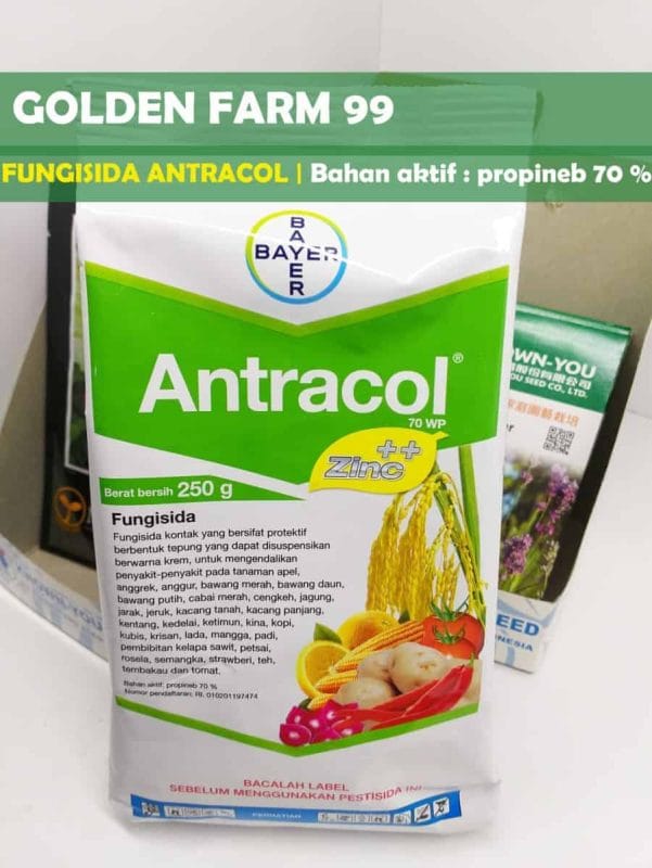 Belanja Kebutuhan Tanam Lebih Mudah di Golden Farm 99