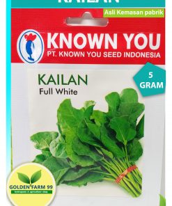 kailan full white