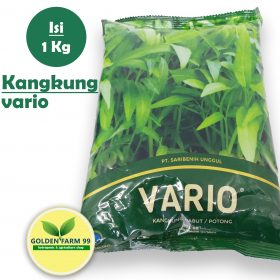 Benih Kangkung VARIO 1 Kg - Original Pack