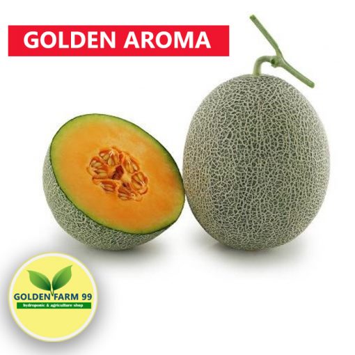 melon golden aroma 1