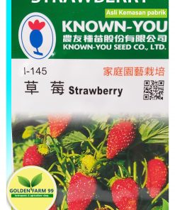 strawberry fragaria vesca