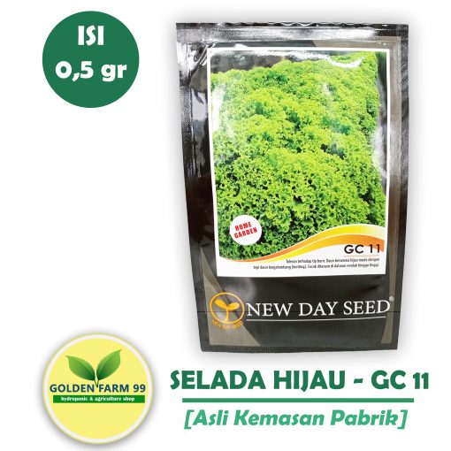 benih selada green coral