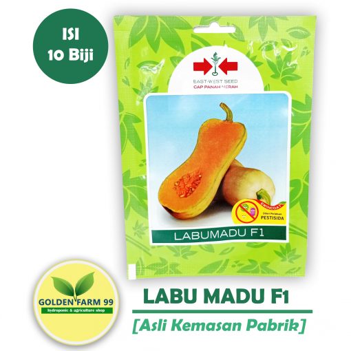 labu madu panah merah