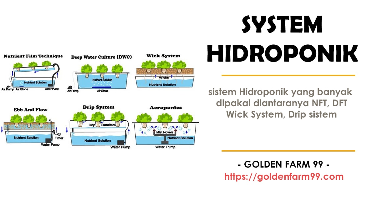 system hidroponik