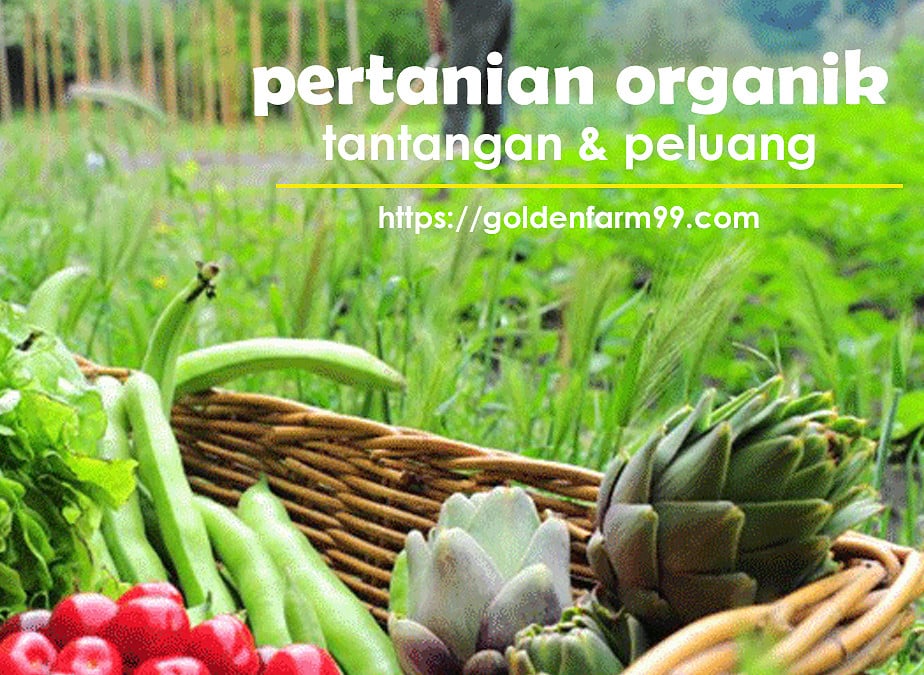 Pertanian Organik: Tantangan Dan Peluang Di Era Globalisasi – STORE ...