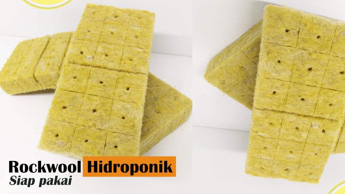 jual rockwool hidroponik