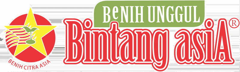 Bintang Asia