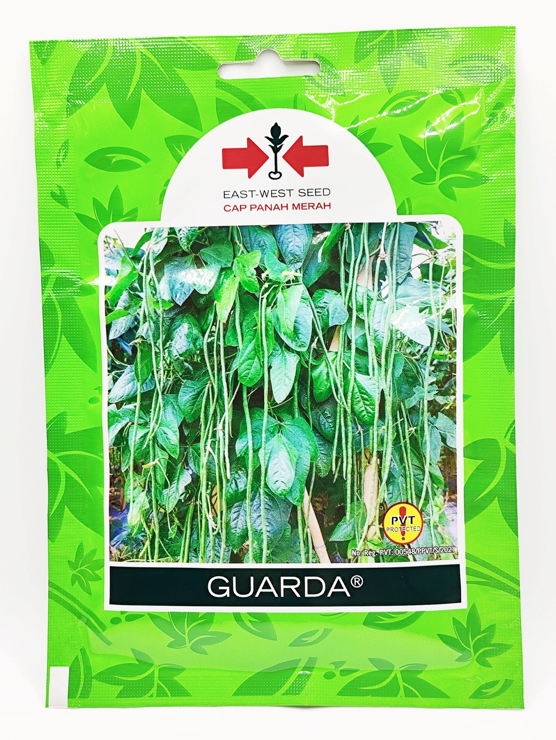 Benih Kacang Panjang Guarda Cap Panah Merah 3 kacang panjang guarda