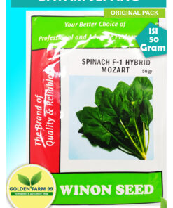 bayam jepang spinach